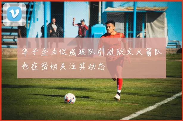 华子全力促成狼队引进欧文火箭队也在密切关注其动态